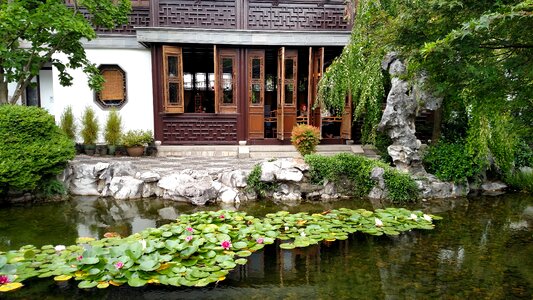 Water lilies zen garden asian garden photo