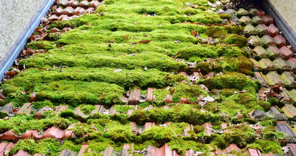 Roofing tile housetop photo