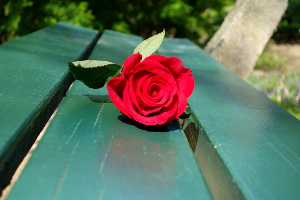 Romance waiting emotion