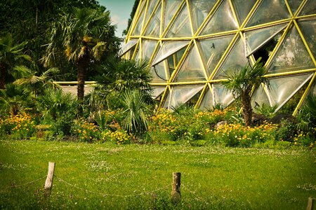 Landscape flower meadow green