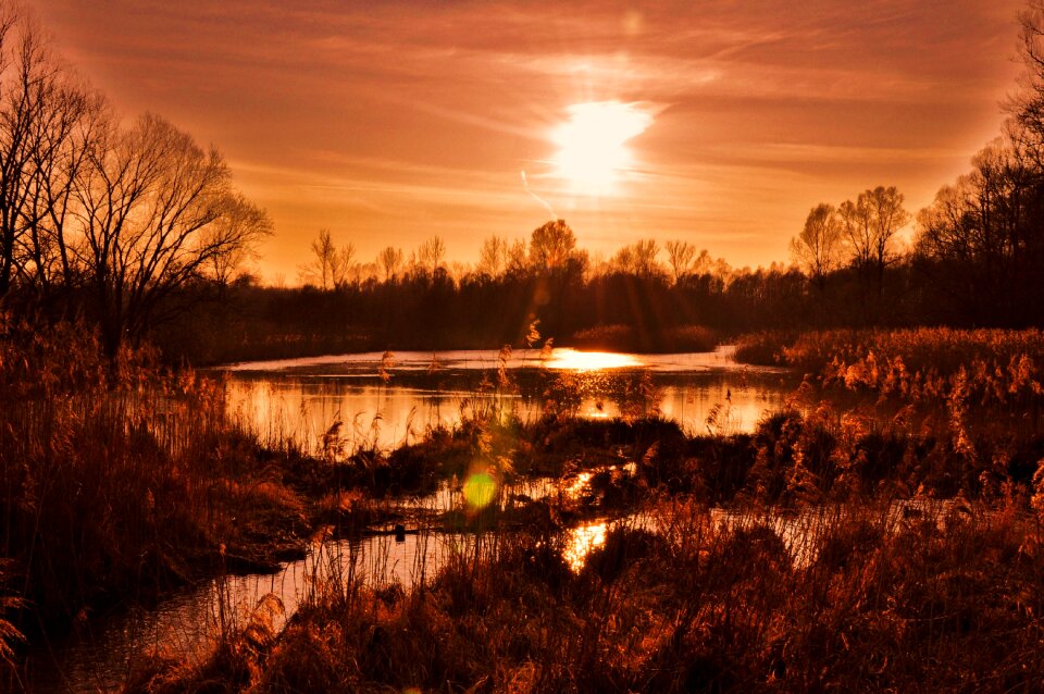 Nature evening orange