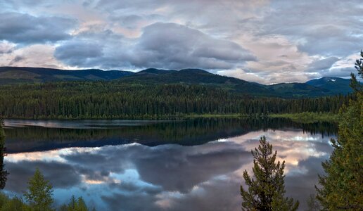 Trees mountains valley photo