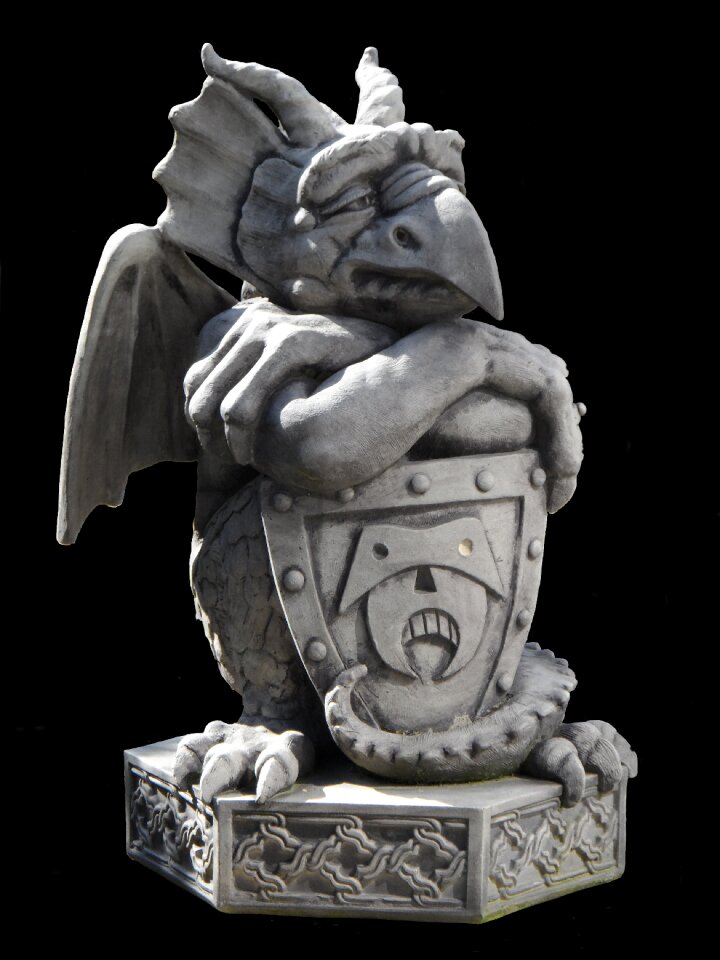 Dragon stone horticulture
