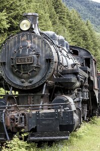 Diesel steam boiler