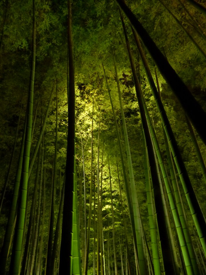 Green light darkness night