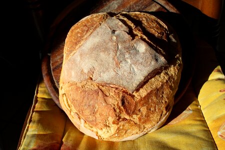 Altamura wheat bakery photo