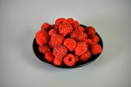 Red berries summer photo