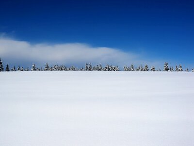Winter landscape nature fir photo