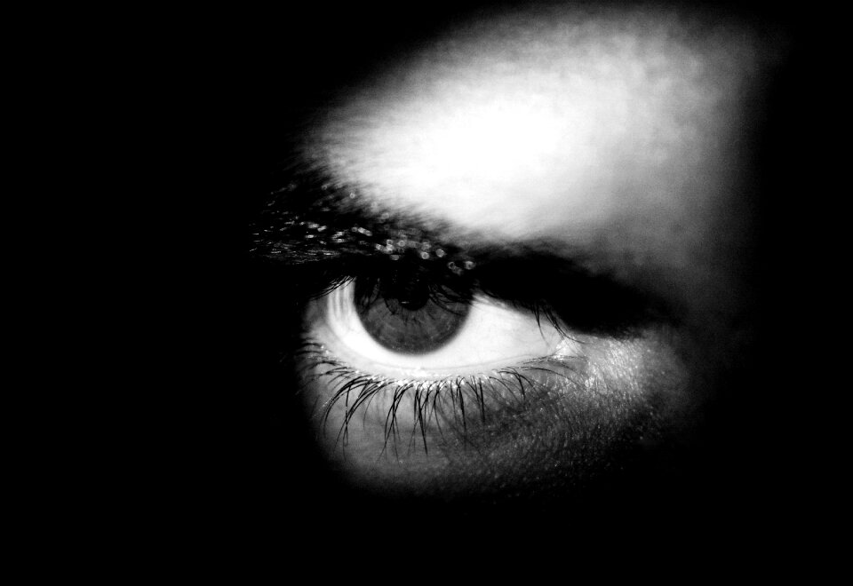 Vista eyelashes face