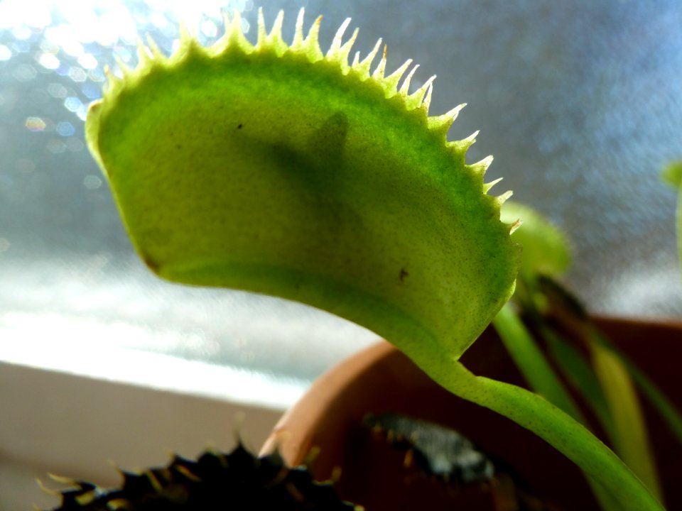 P1050515 