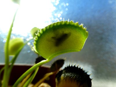 P1050513 