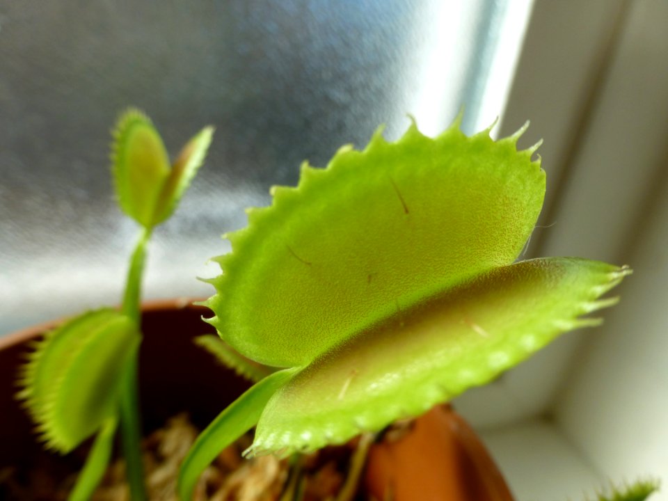 P1050516 