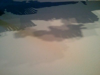 IMG_20131013_144347 