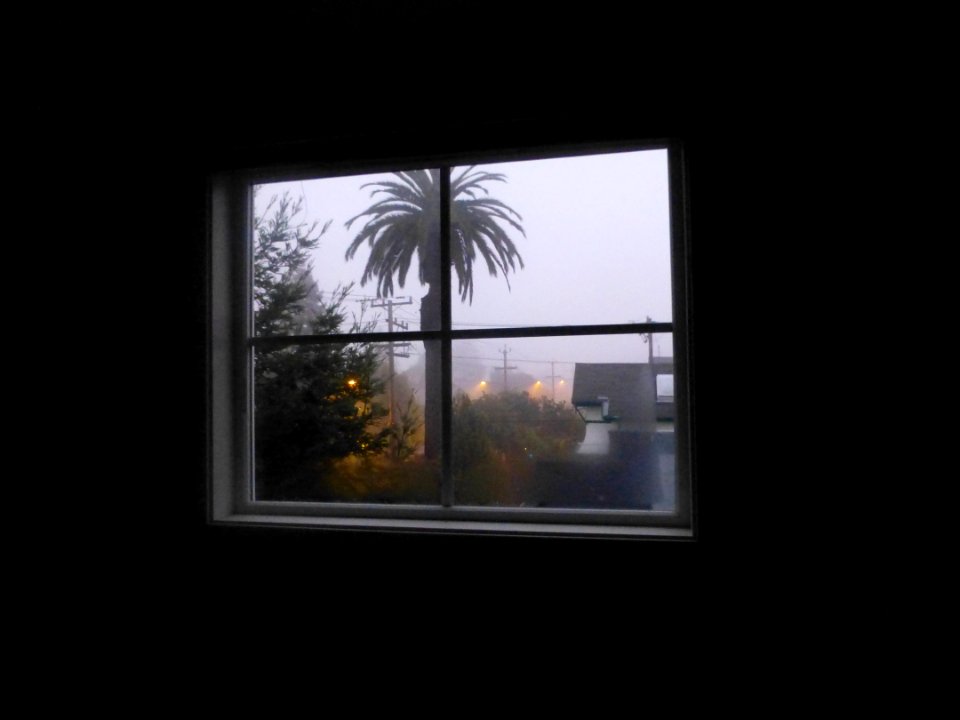 P1050541 