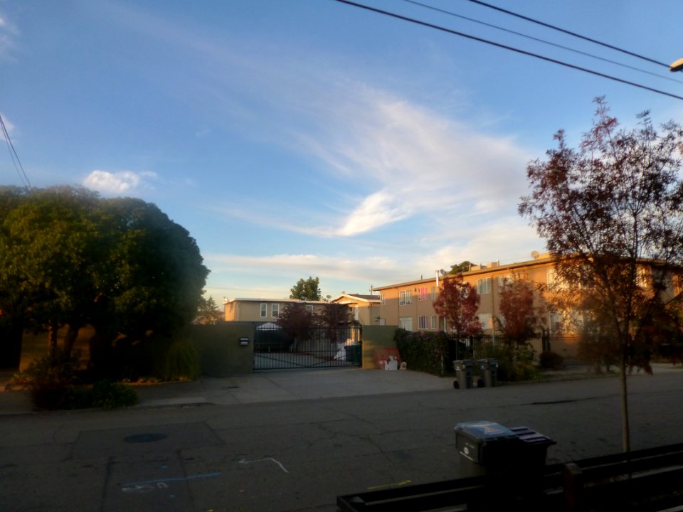 P1050526 