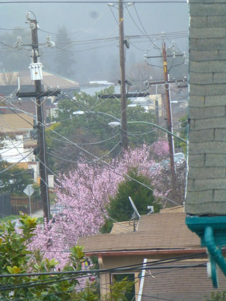 P1050659 