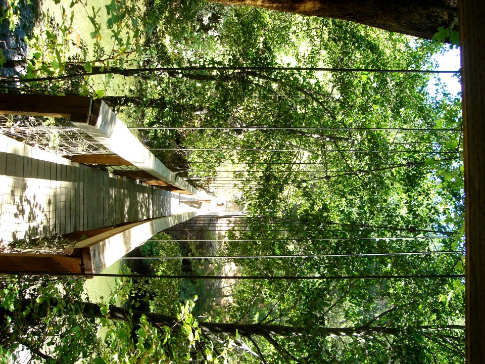 dsc01700.jpg 