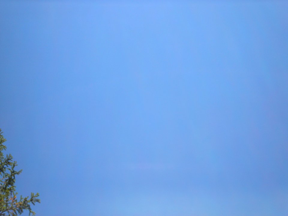 dsc01726.jpg 
