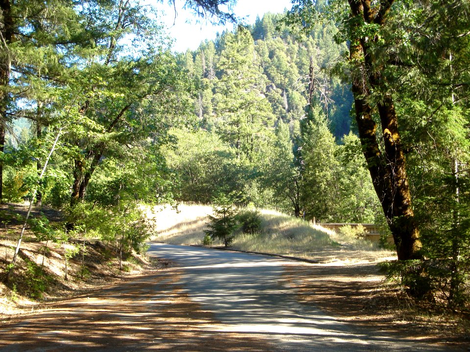 dsc01735.jpg 