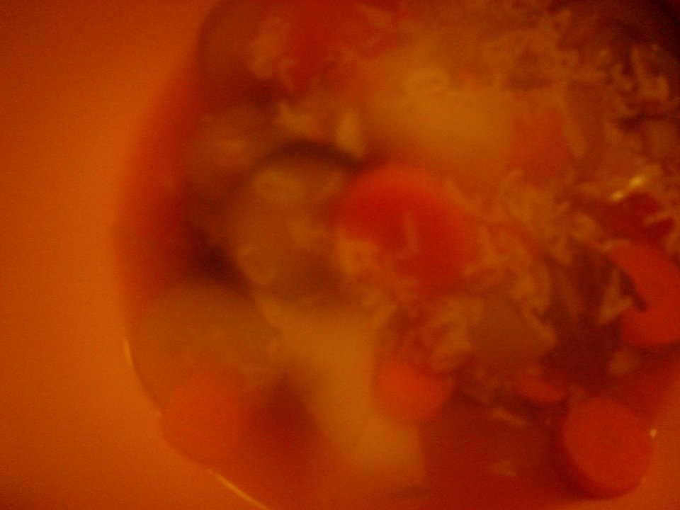 dsc01686.jpg 