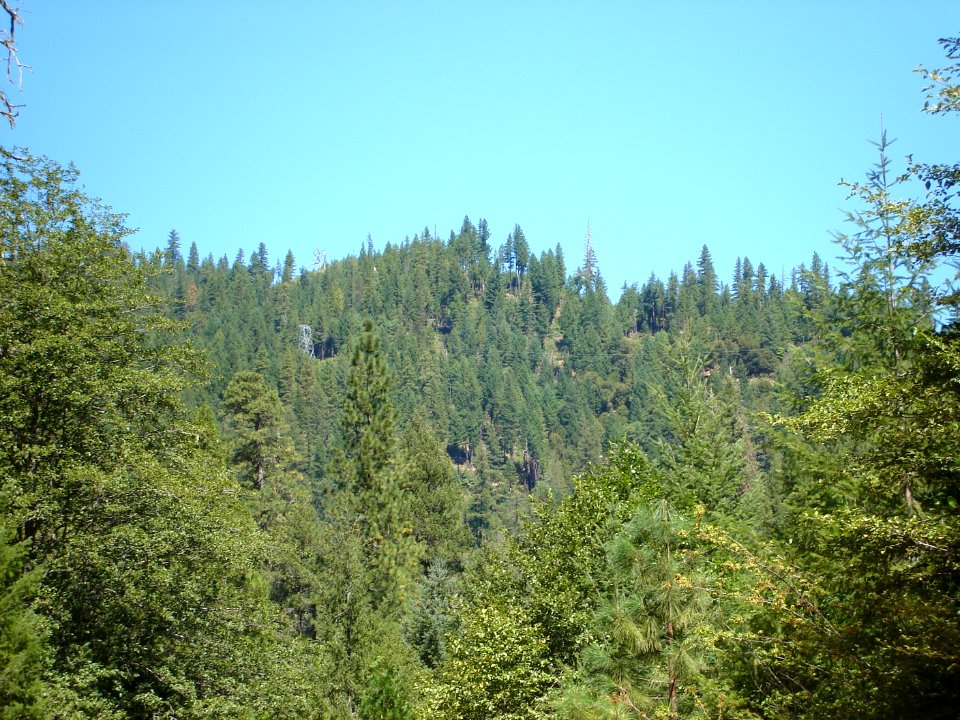 dsc01699.jpg 