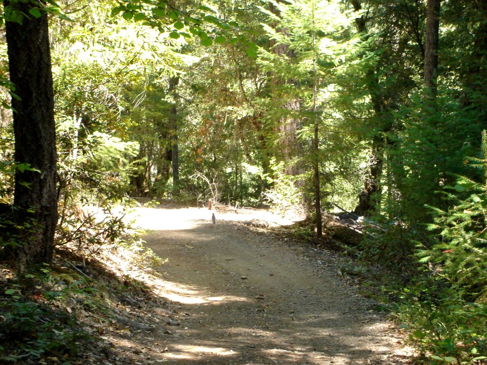 dsc01722.jpg 