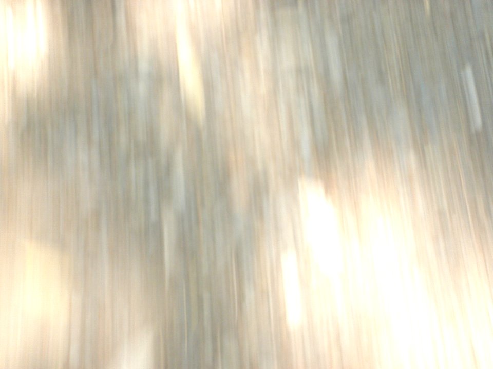 dsc01723.jpg 