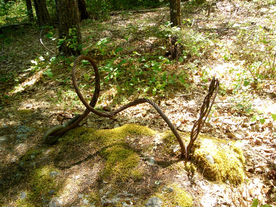dsc01728.jpg 