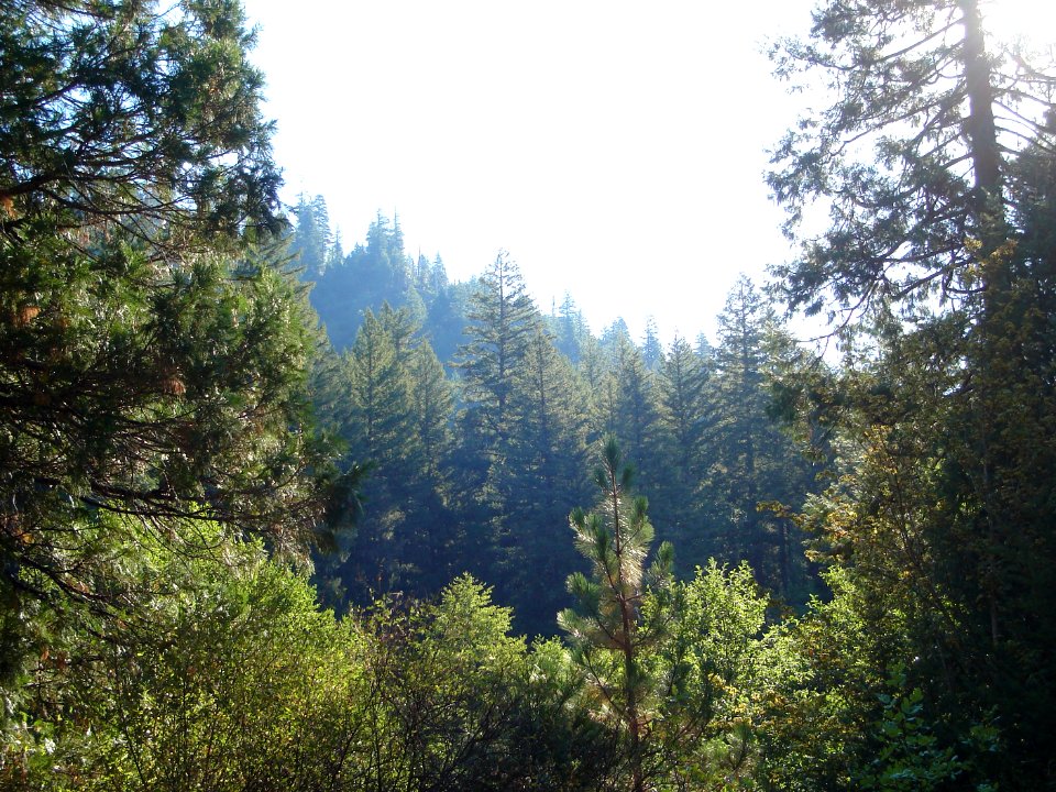 dsc01736.jpg 