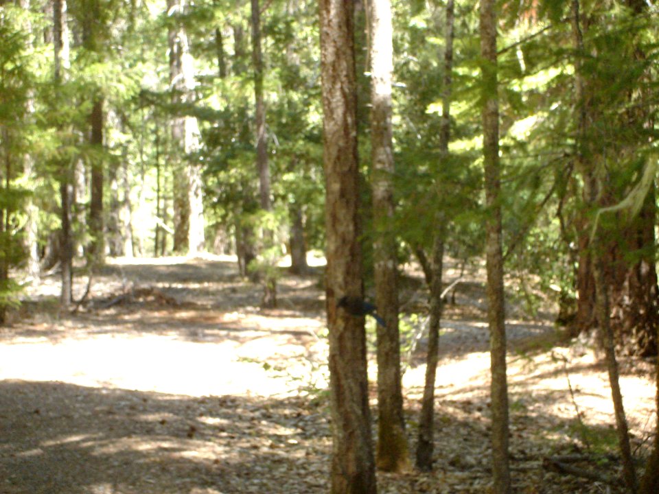 dsc01725.jpg 