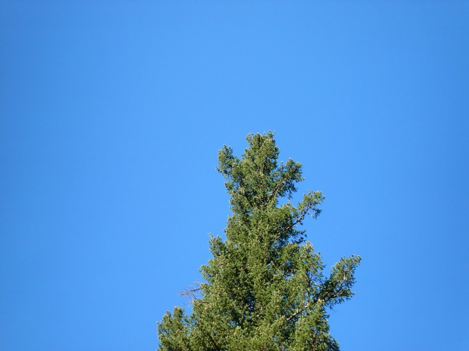 dsc01741.jpg 