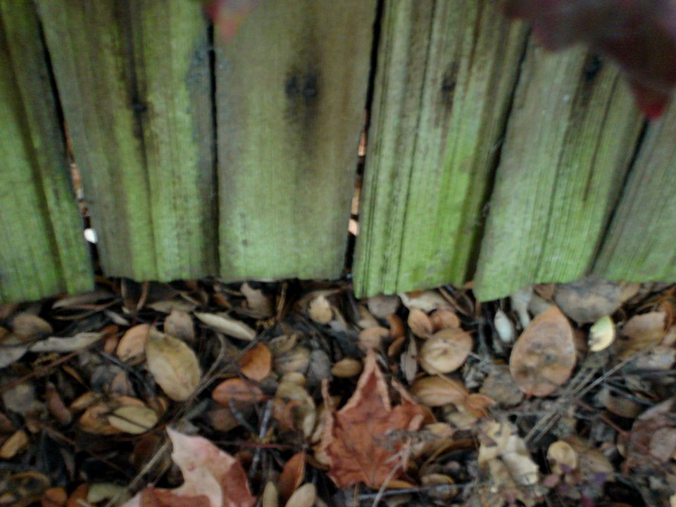 dsc01765.jpg 