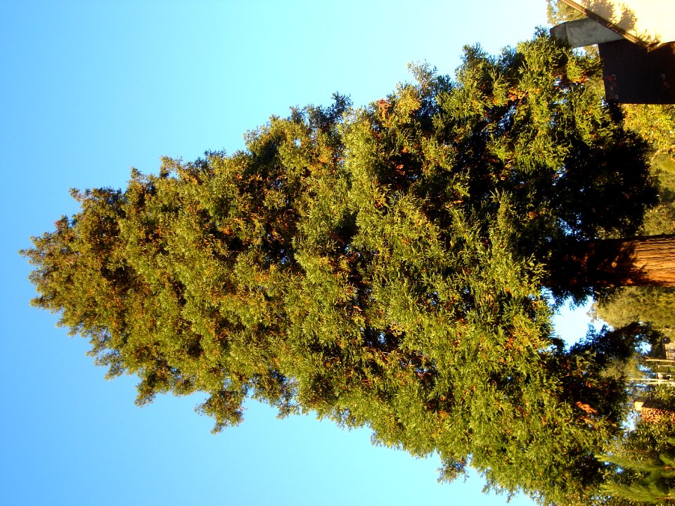 dsc01771.jpg 