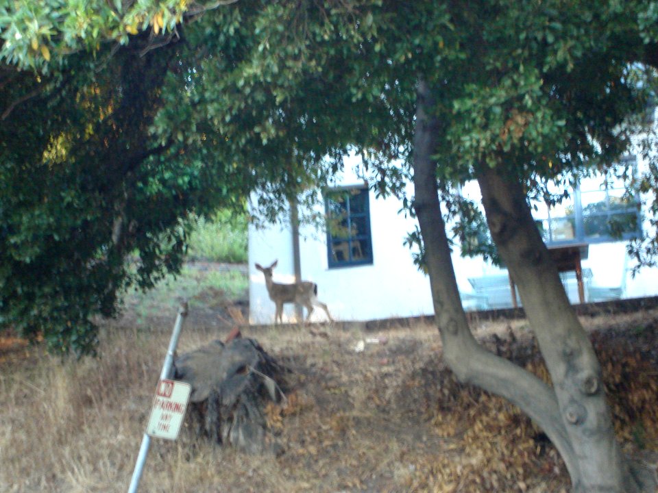 dsc01763.jpg 