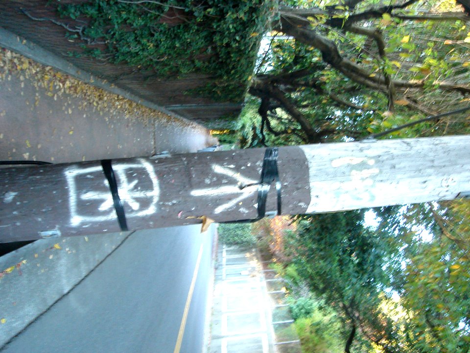 dsc01772.jpg 