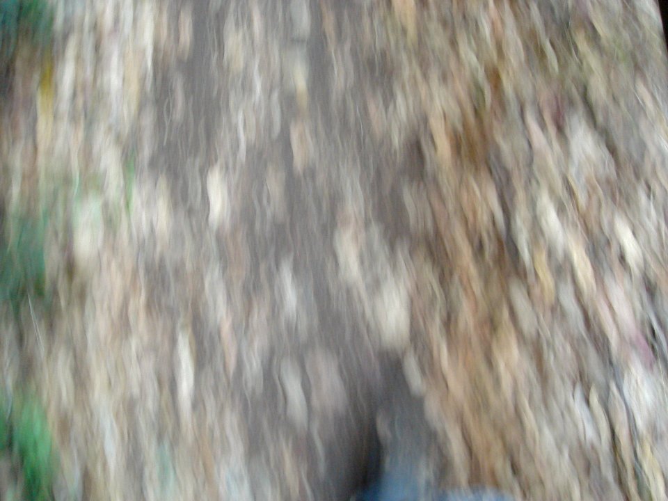 dsc01777.jpg 