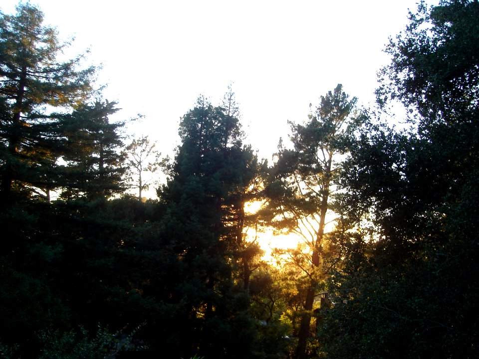 dsc01780.jpg 
