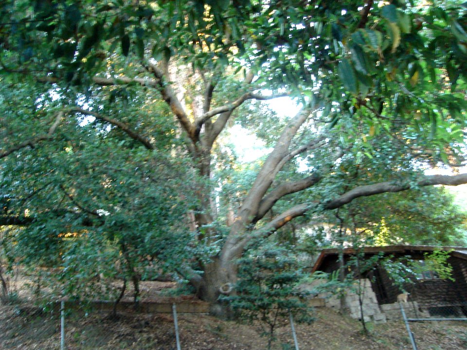 dsc01774.jpg 