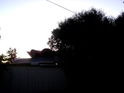 dsc01789.jpg 