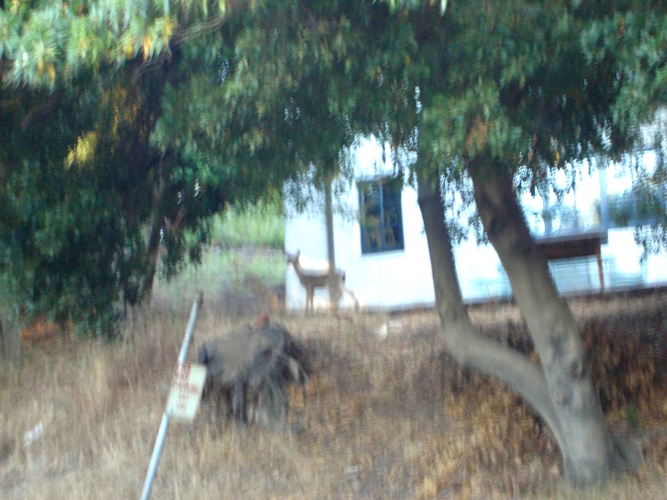 dsc01762.jpg 
