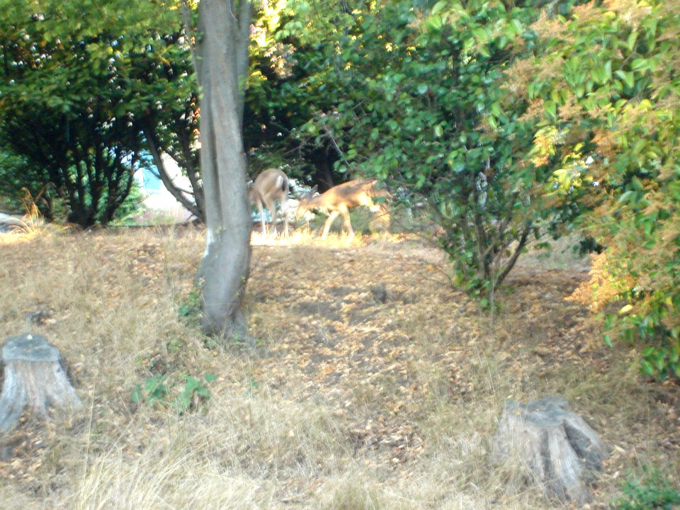 dsc01764.jpg 