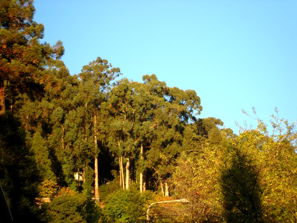 dsc01767.jpg 