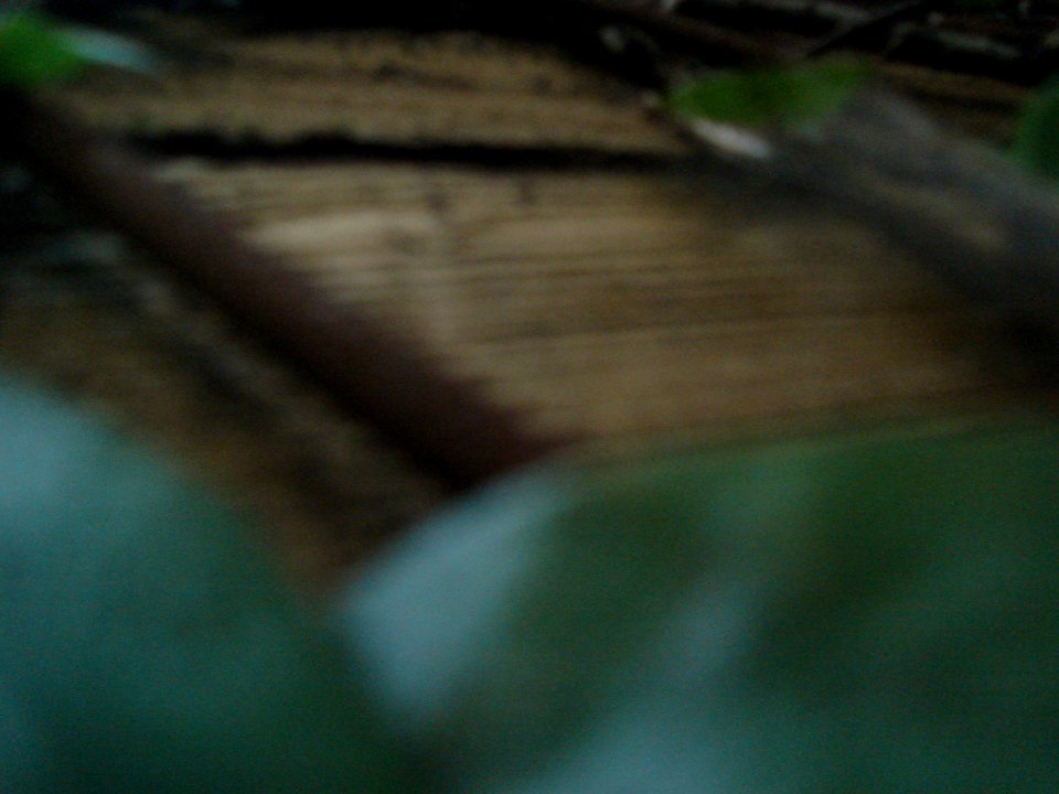 dsc01776.jpg 