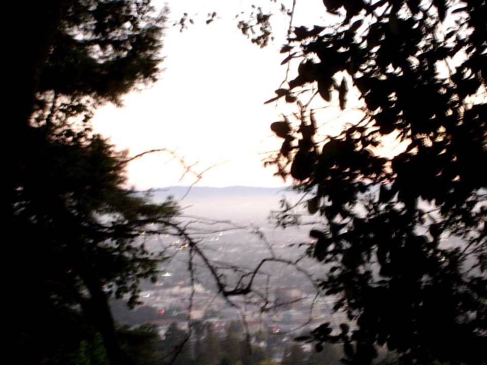 dsc01788.jpg 