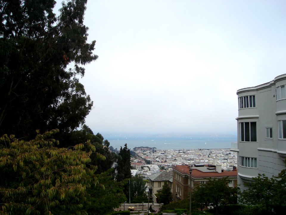 dsc01837.jpg 