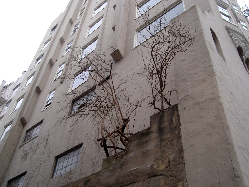 dsc01850.jpg 