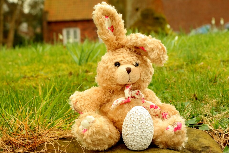 Stuffed animal teddy bear cute