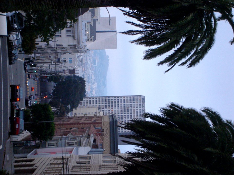 dsc01864.jpg 