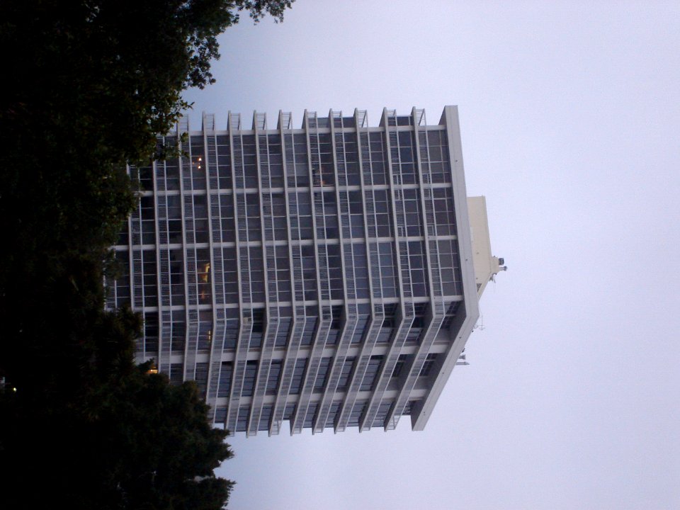 dsc01859.jpg 