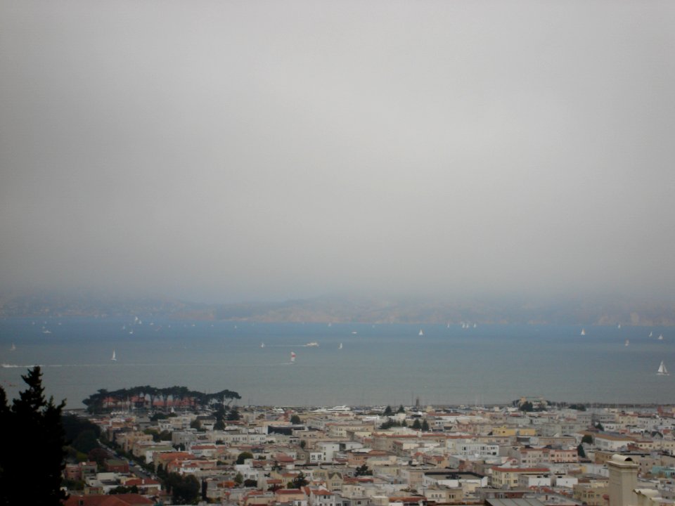 dsc01839.jpg 